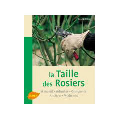Rosiers les choisir